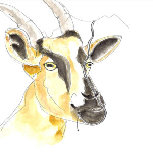 le chemin des chèvres