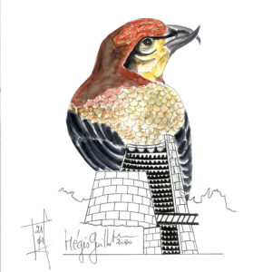 Le bec croisé de Vulcania