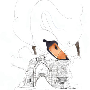 Le cygne du jardin Lecoq