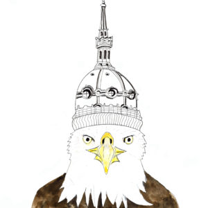 L'aigle pécheur des Minimes