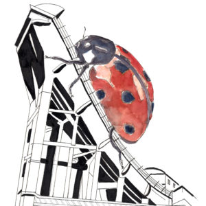 Les pistes d'essai et la coccinelle