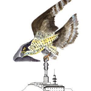 Un pèlerin sur les sommets