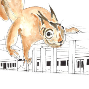 L’écureuil et le panoramique des Dômes