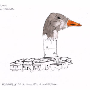 L'oie de Montpeyroux (63)